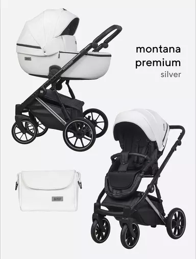 Коляска 2 в 1 Riko Basic Montana Premium Silver 21