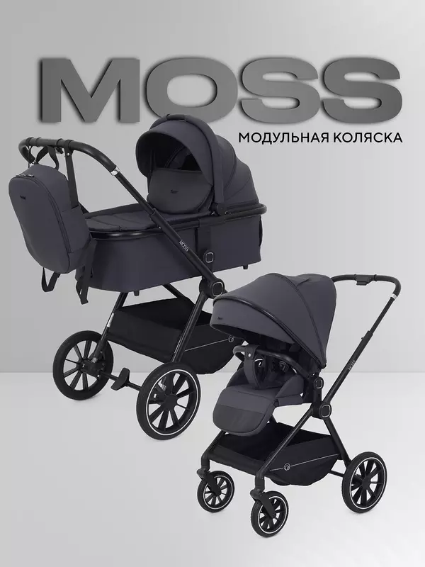 Коляска 2 в 1 Rant Moss 2025 Graphite